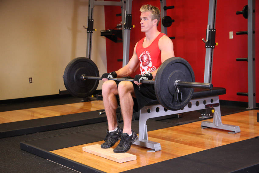 Barbell Seated Calf Raise — end position