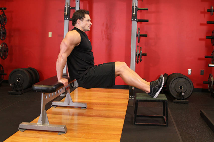 Bench Dips — start position