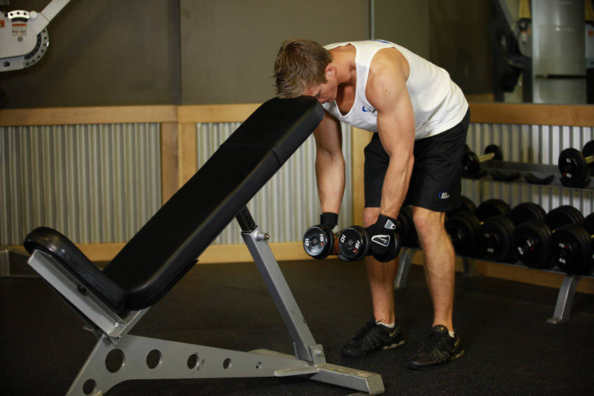 Bent Over Dumbbell Rear Delt Raise With Head On Bench — start position