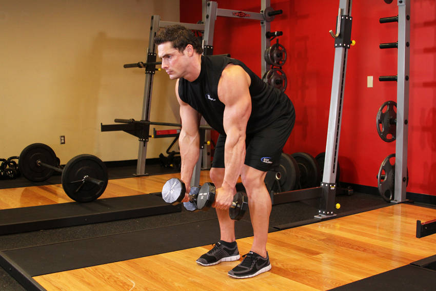 Bent Over Two-Dumbbell Row — start position