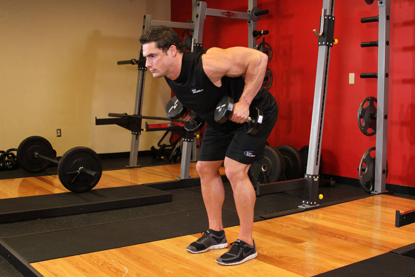 Bent Over Two-Dumbbell Row — end position
