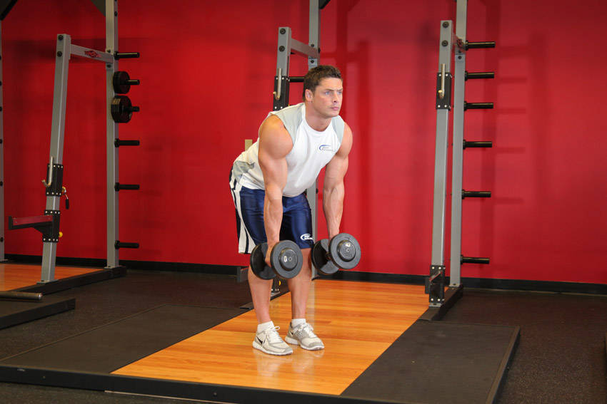 Bent Over Two-Dumbbell Row With Palms In — start position