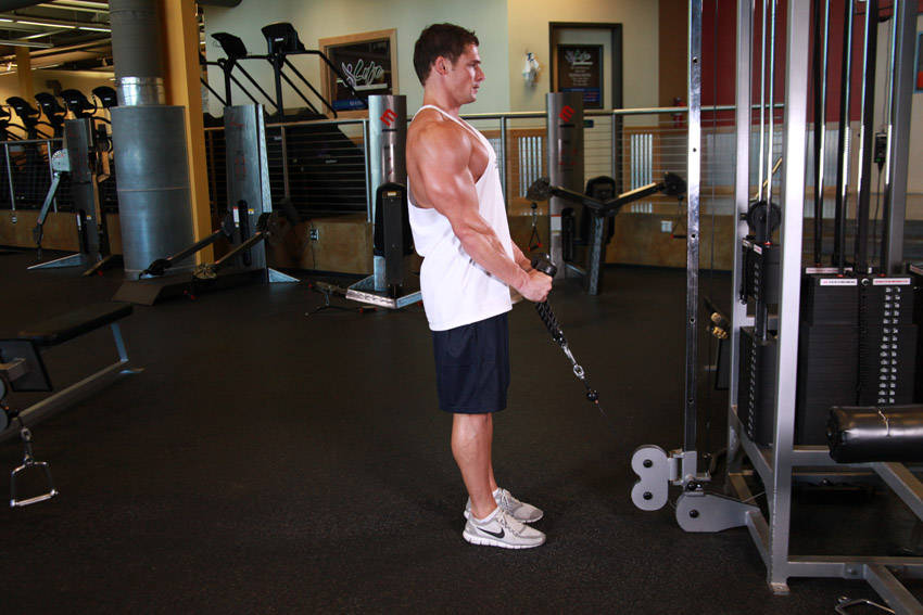 Cable Hammer Curls - Rope Attachment — start position