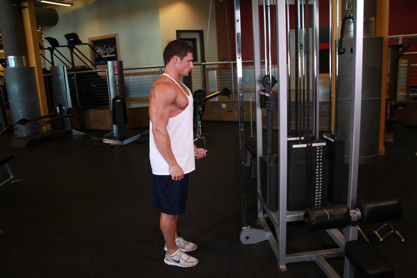 Cable One Arm Tricep Extension — start position