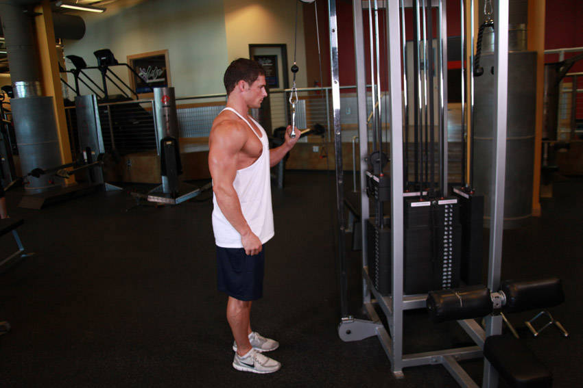 Cable One Arm Tricep Extension — end position