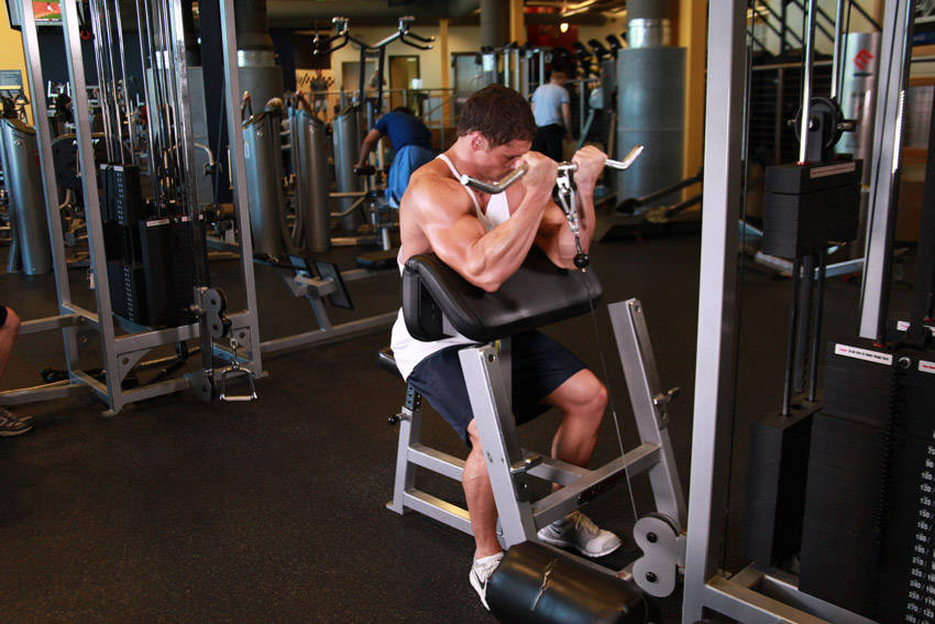 Cable Preacher Curl — end position