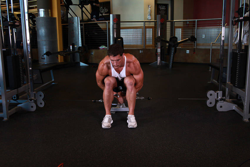Cable Seated Lateral Raise — start position