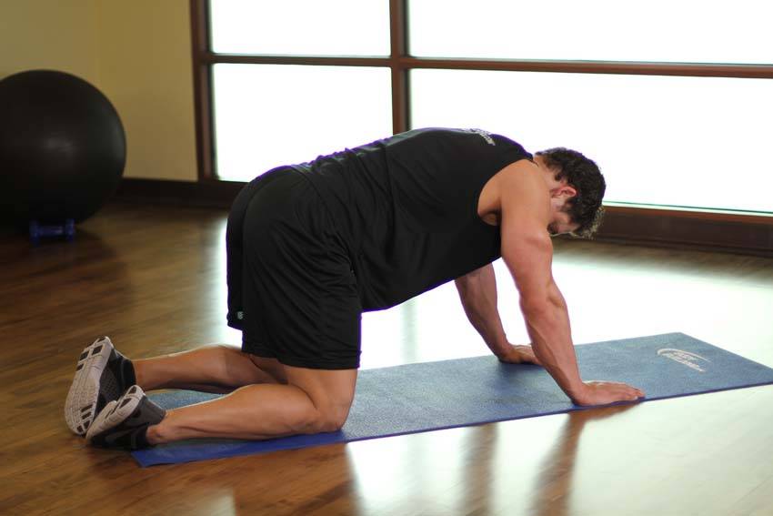 Cat Stretch — start position