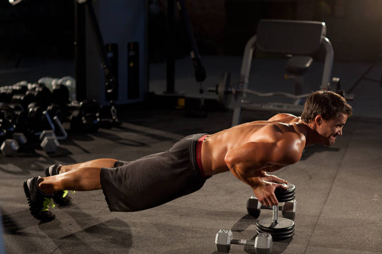 Close-Grip Push-Up off of a Dumbbell — end position