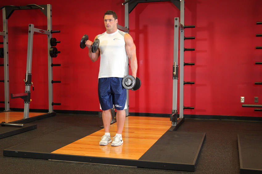 Dumbbell Alternate Bicep Curl — start position