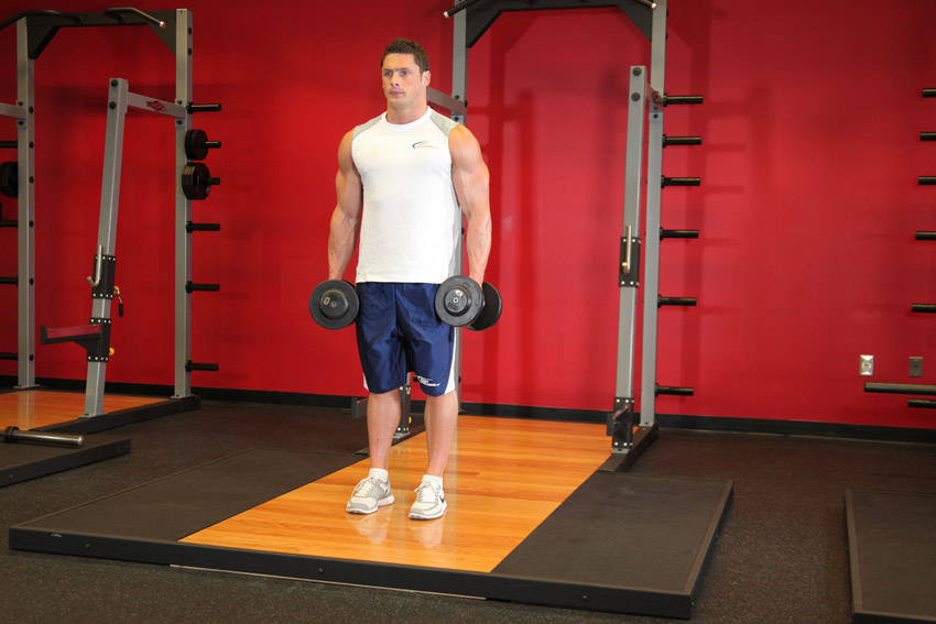 Dumbbell Bicep Curl — start position