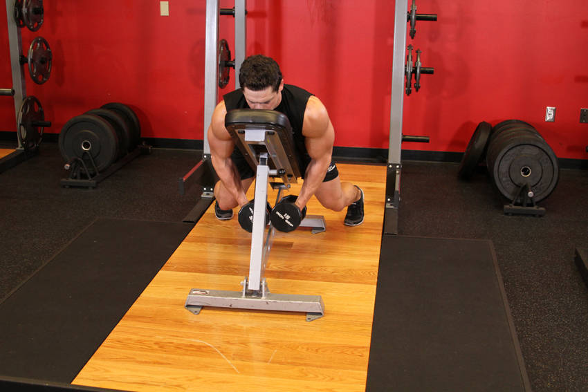 Dumbbell Lying Rear Lateral Raise — start position