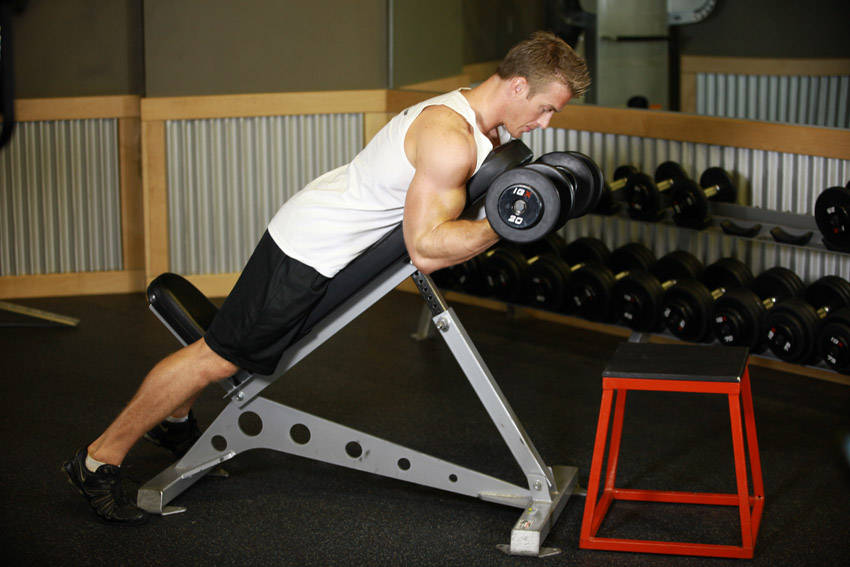 Dumbbell Prone Incline Curl — start position