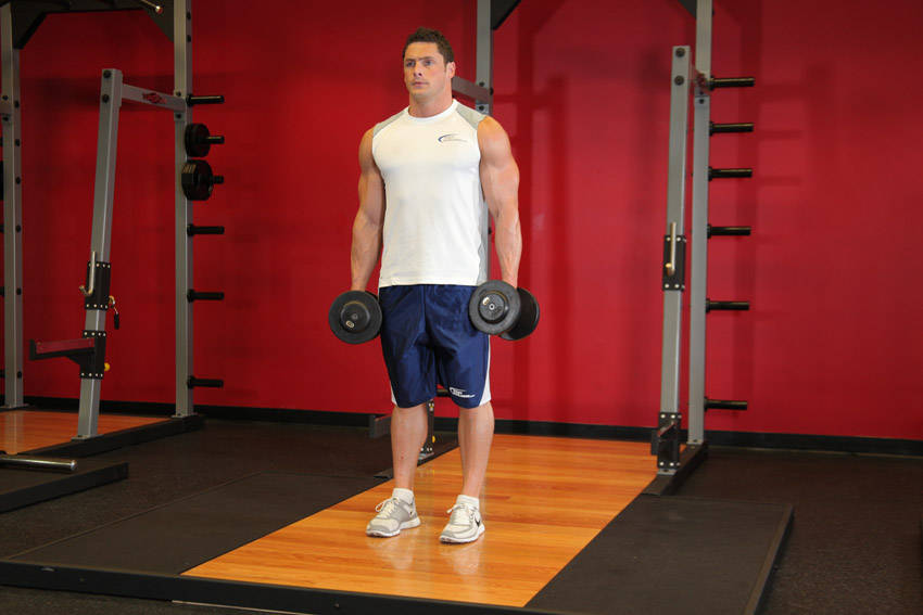 Dumbbell Rear Lunge — start position