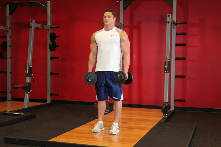 Dumbbell Shrug — start position