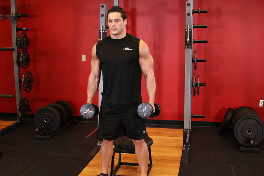Dumbbell Squat To A Bench — start position