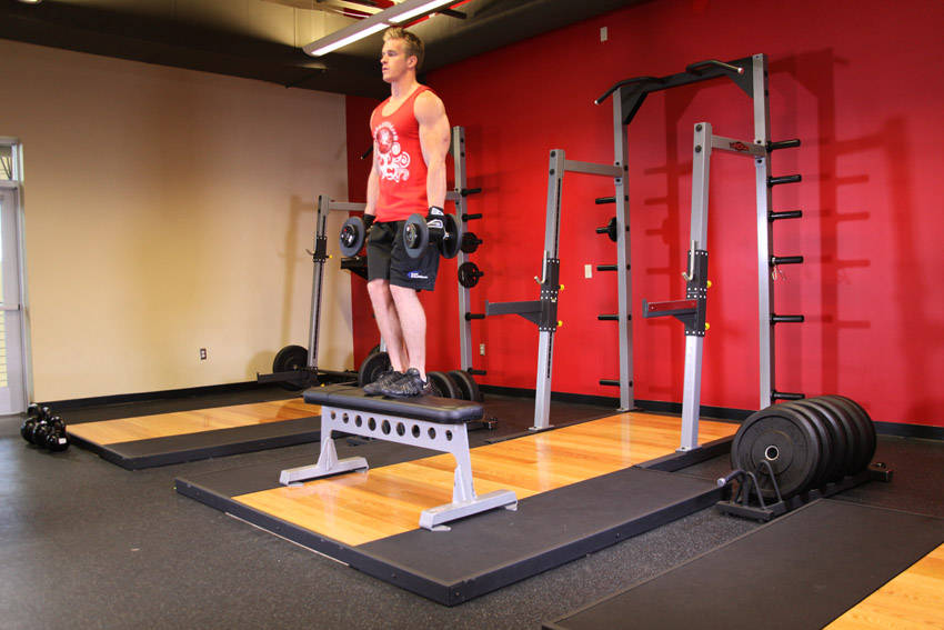 Dumbbell Step Ups — start position