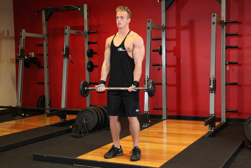 EZ-Bar Curl — start position