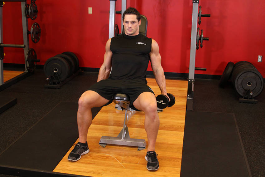 Flexor Incline Dumbbell Curls — start position