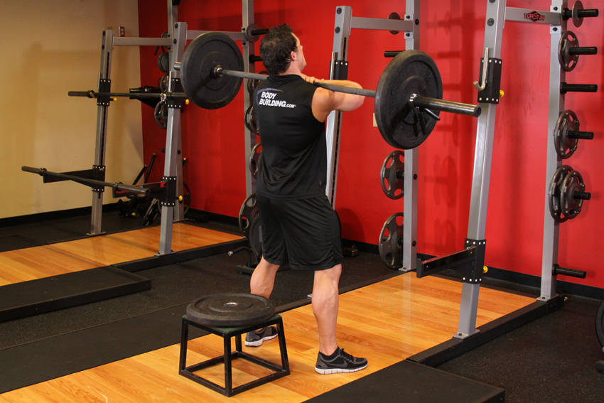 Front Barbell Squat To A Bench — start position