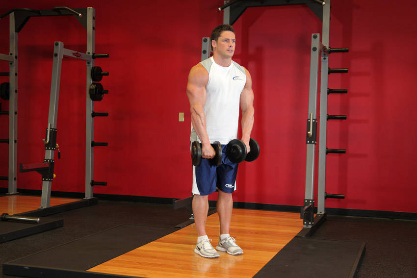 Front Dumbbell Raise — start position