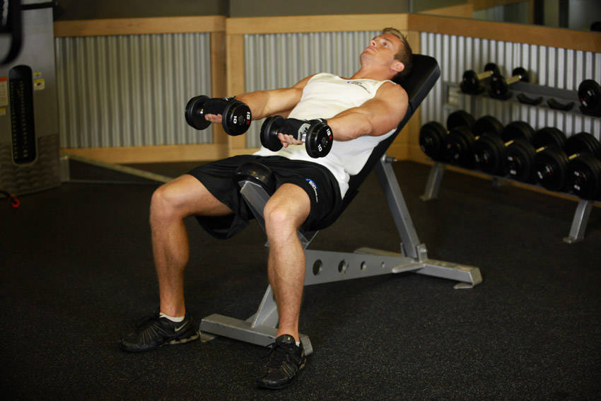 Front Incline Dumbbell Raise — start position