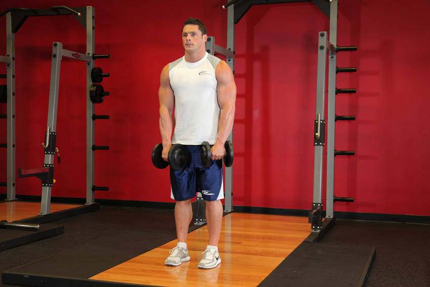 Front Two-Dumbbell Raise — start position