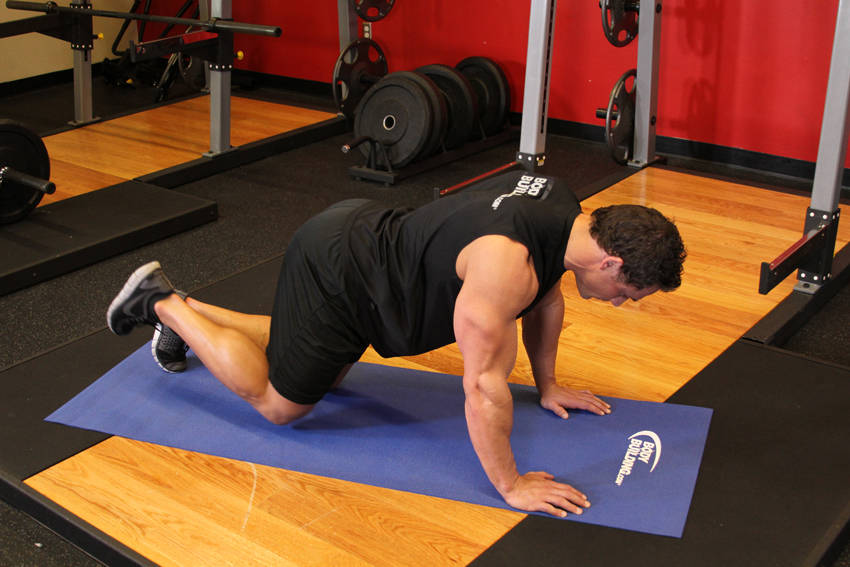 Glute Kickback — start position