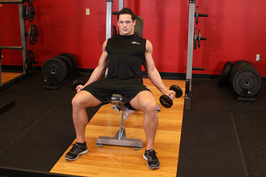 Incline Inner Biceps Curl — start position