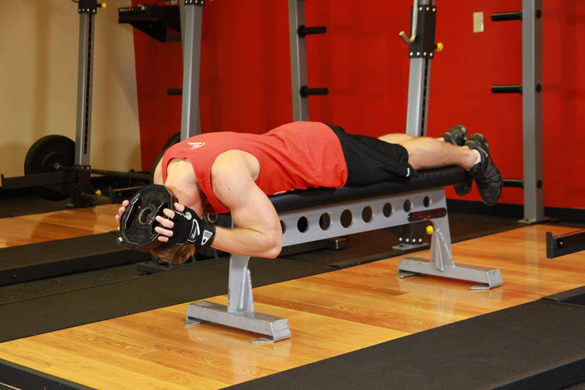 Lying Face Down Plate Neck Resistance — start position