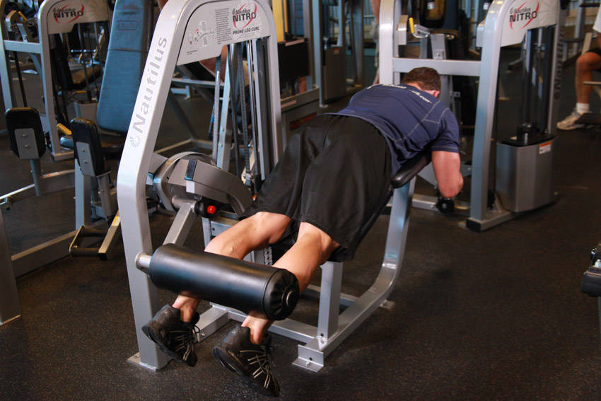 Lying Leg Curls — start position