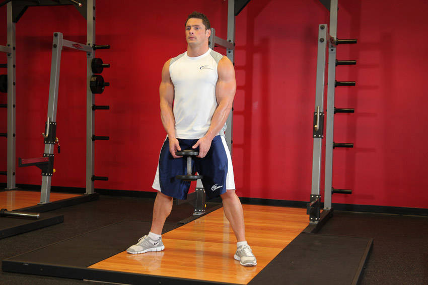 Plie Dumbbell Squat — start position