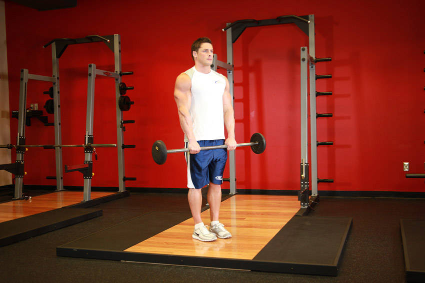 Reverse Barbell Curl — start position