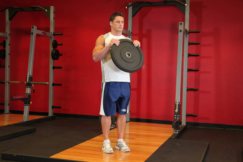 Reverse Plate Curls — end position