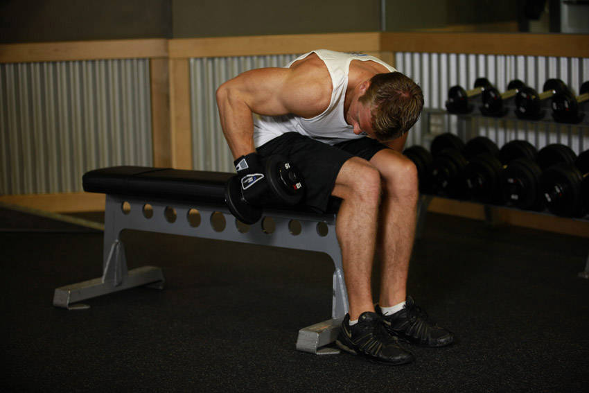 Seated Bent-Over One-Arm Dumbbell Triceps Extension — start position
