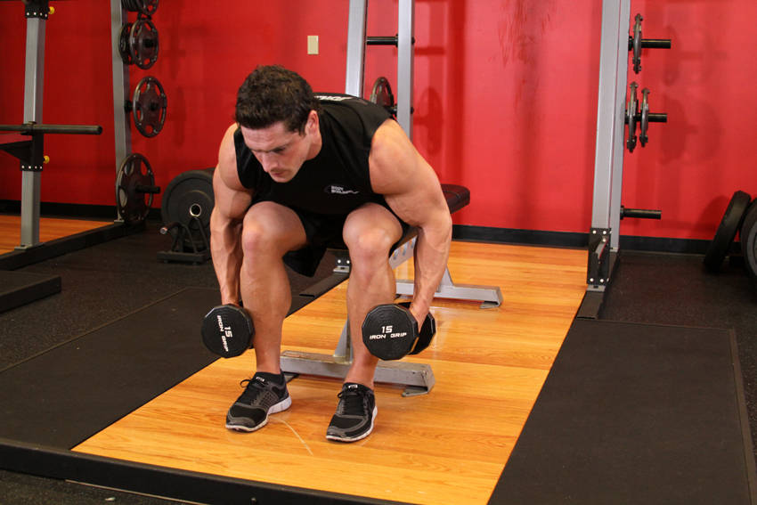 Seated Bent-Over Rear Delt Raise — start position