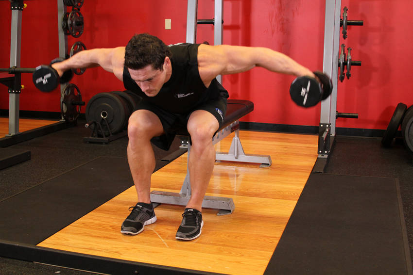 Seated Bent-Over Rear Delt Raise — end position