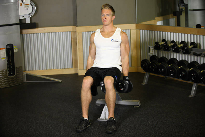 Seated Dumbbell Inner Biceps Curl — start position