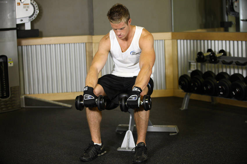 Seated Dumbbell Palms-Down Wrist Curl — start position