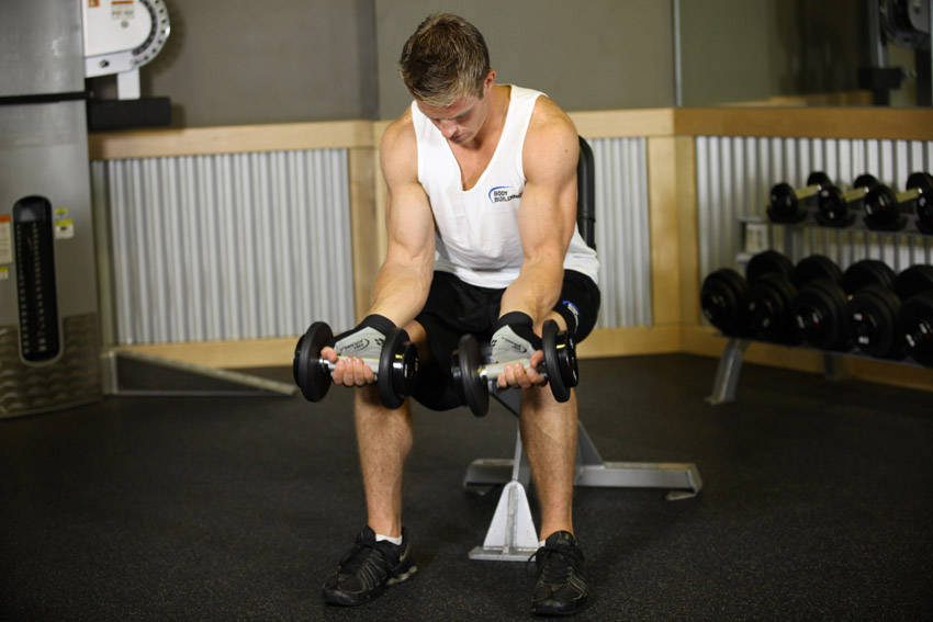 Seated Dumbbell Palms-Up Wrist Curl — start position
