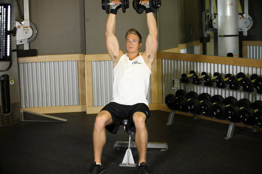 Seated Dumbbell Press — start position