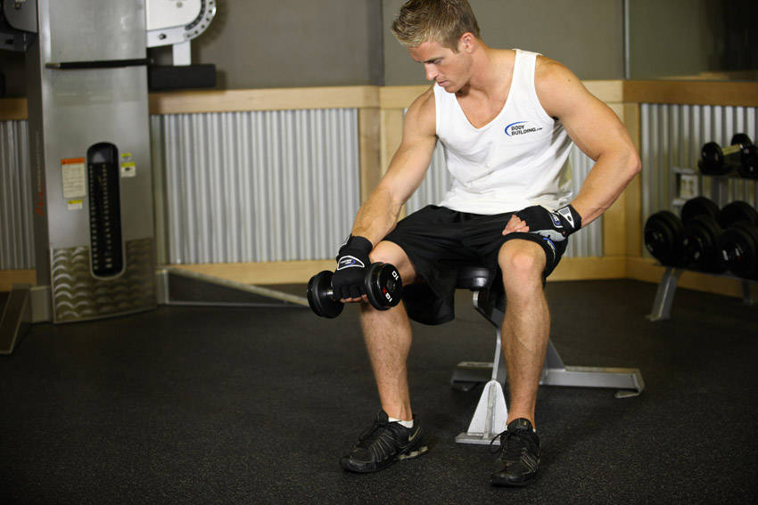 Seated One-Arm Dumbbell Palms-Down Wrist Curl — start position