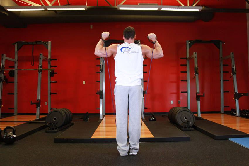 Shoulder Press - With Bands — start position