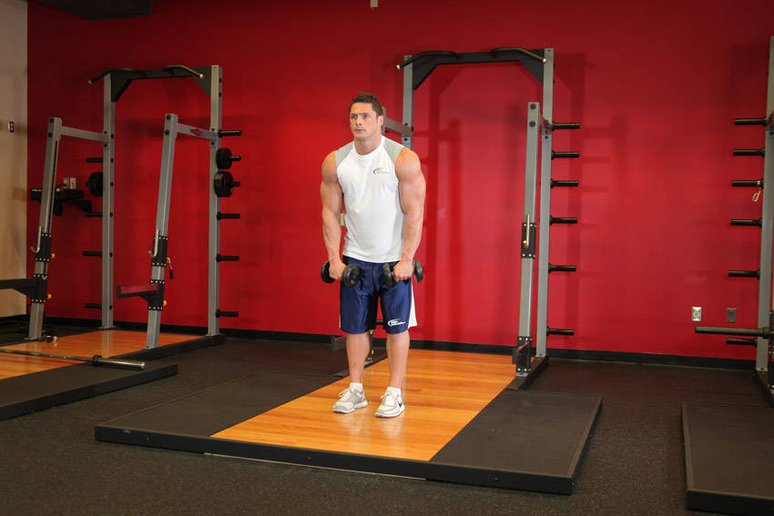 Standing Dumbbell Straight-Arm Front Delt Raise Above Head — start position