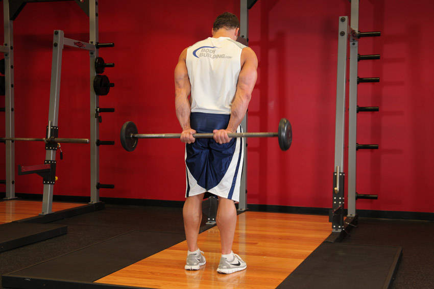 Standing Palms-Up Barbell Behind The Back Wrist Curl — start position