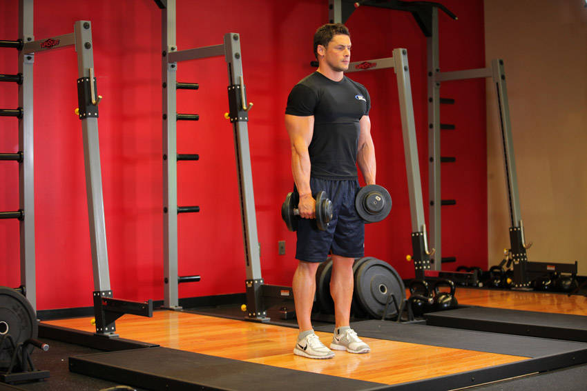 Stiff-Legged Dumbbell Deadlift — start position