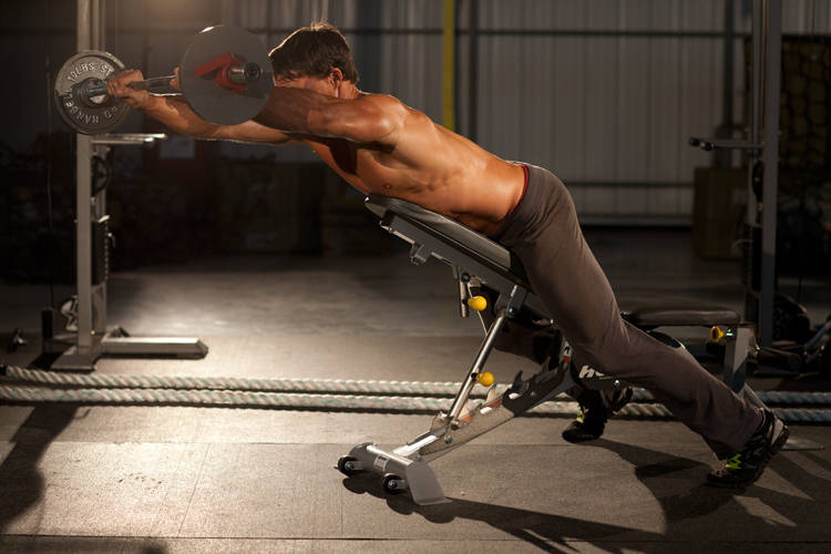 Straight Raises on Incline Bench — end position