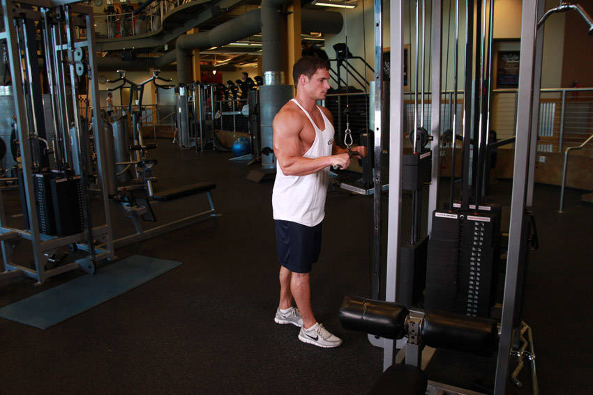 Triceps Pushdown — start position