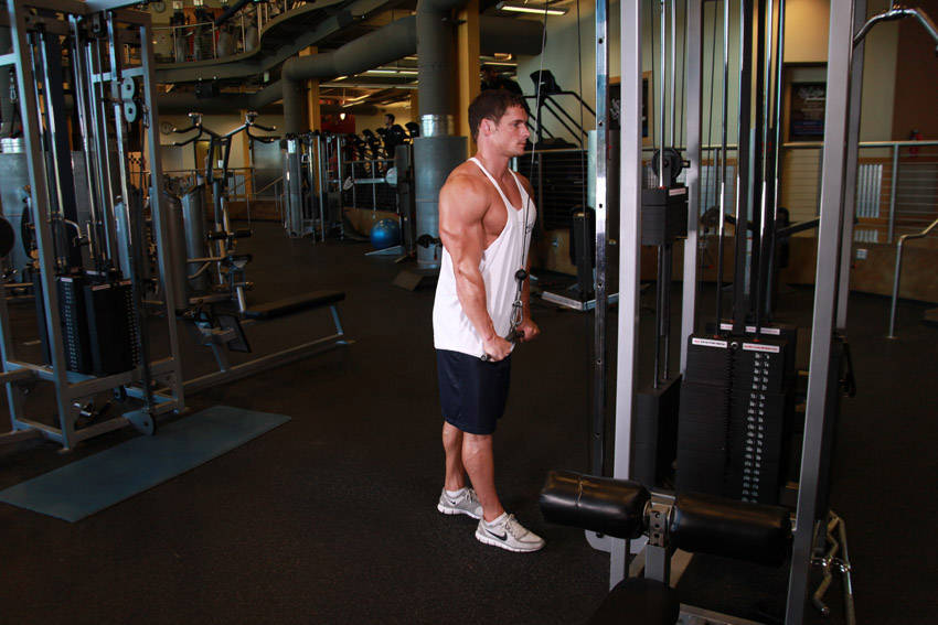 Triceps Pushdown — end position