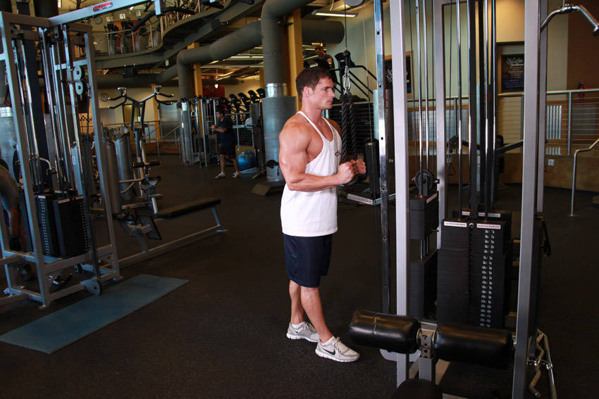 Triceps Pushdown - Rope Attachment — start position